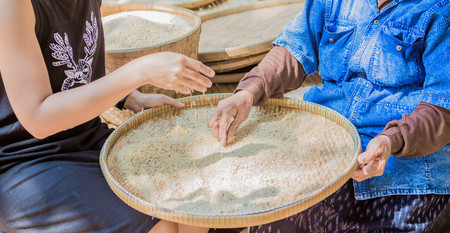 2 generations of woman in the lacal of Thailand are winnowing rice by using bamboo basketwork soft focus ,vintage styleの写真素材
