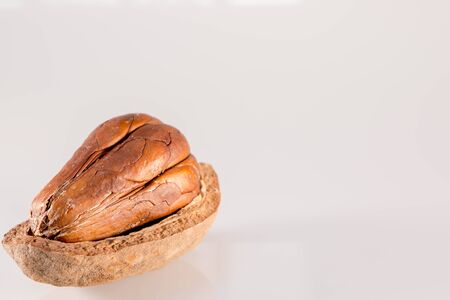 Side View : Mahogani seedの写真素材