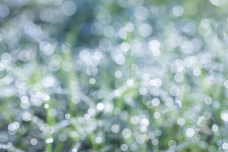 natural bokeh , blurred backgroundの写真素材