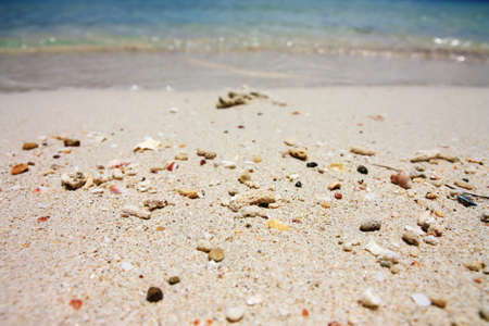sands on the beachの写真素材