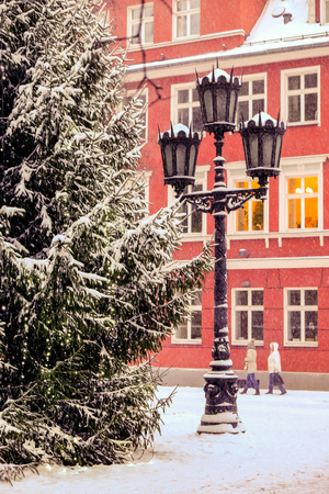 Long waited winter with snow and frost finally came just before New Year's nightの写真素材
