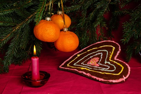 Christmas still life with mandarins as decoration and gingerbread cookie in candle light.の写真素材