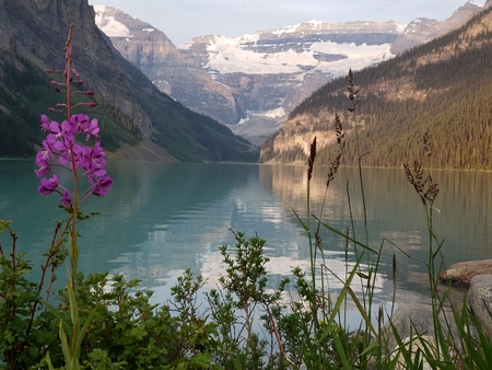 Lake louise in Canadaの写真素材