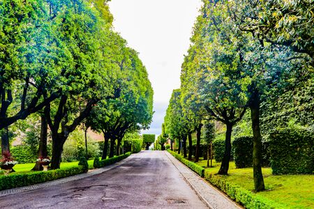 Exploring the Vatican city gardens in Rome, Italyの写真素材