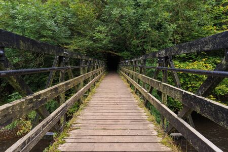 The wooden bridge leading to the dark woods