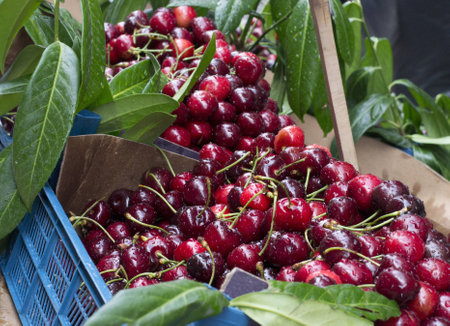 Cherries in Istanbul