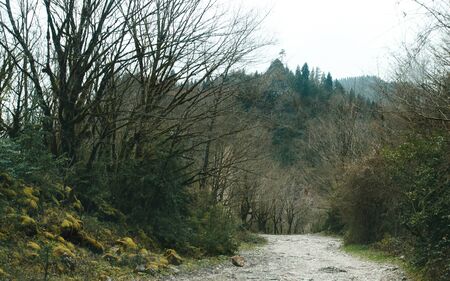 Off-road travel. Traveler discovers new unfamiliar places. Path through the forest on rocky ride....