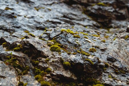 Mountain texture. Wet muscose surface. Structure of cliffy hills. Moss covered stones. の写真素材
