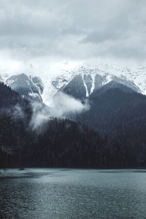 Winter forest on hight mountains. Trees covered by snow on large ridge. Snowclad woods grow on rocky...