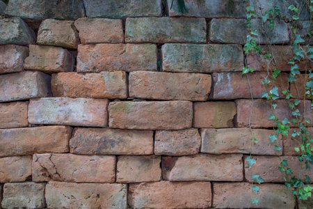 wallの写真素材