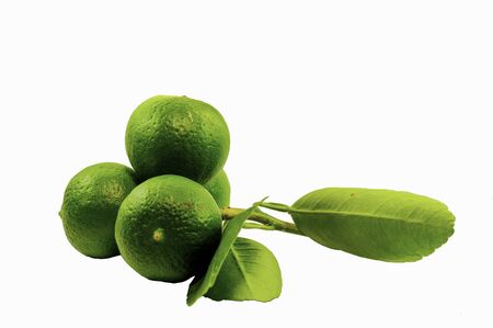 Four juicy lemons on a white backgroundの写真素材