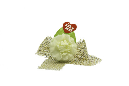 Mother's Day flowersの写真素材