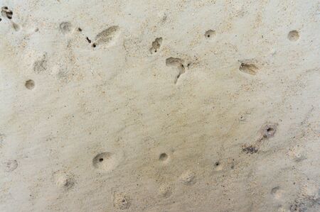 sand backgrounds and textureの写真素材
