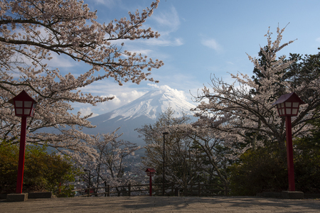 Fuji Volcano with Sakura There are red ornamental lamps.の写真素材