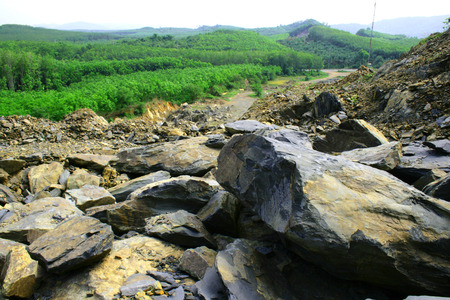 mounten and rubber plantation の写真素材