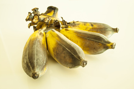 Cultivated Banana の写真素材