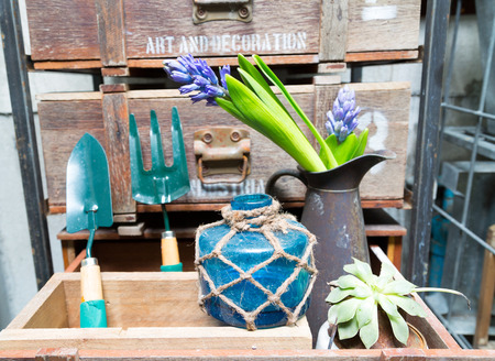 still life with Hyacinth in vintage cabinet wood at rustic interior at houseplantの写真素材