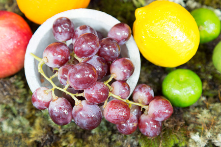 still life of fruit on moss ground with rabbit and birdの写真素材