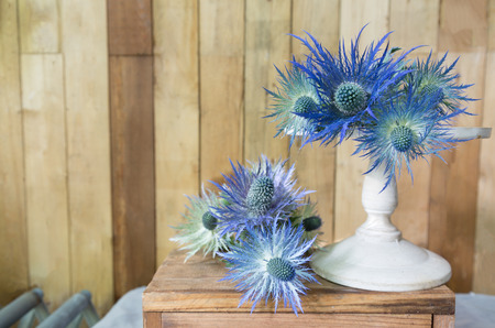 Eryngium planum Blue Sea Holly flowers on wooden backgroundの写真素材