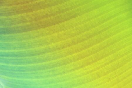 Background ,vintage color