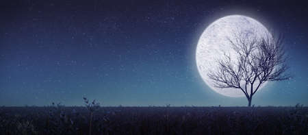 Full moon with silhouette tree and meadow.Panorama view3d. renderingの写真素材