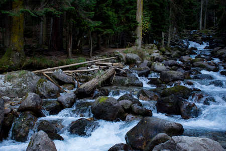rushing blue river in a mountain forest