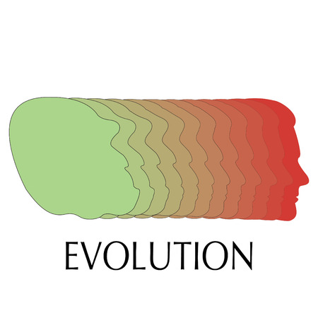 Evolution vector illustrationのイラスト素材