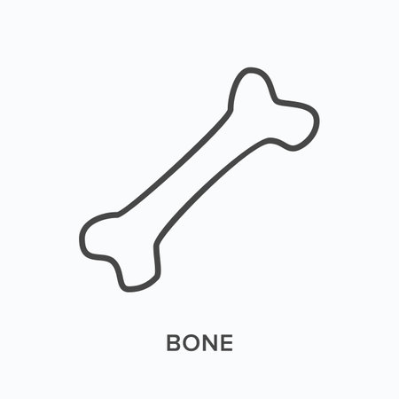 Bone flat line icon. Vector outline illustration of doggy toy. Black thin linear pictogram for anatomyのイラスト素材