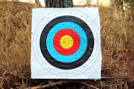 Colorful shooting target on a tree. Abstract sports background.の写真素材