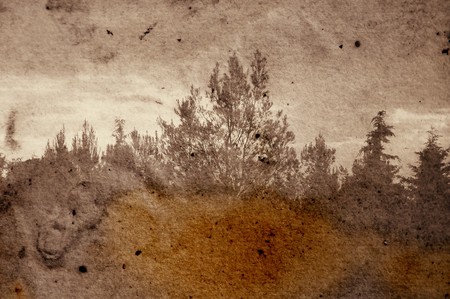 Vintage stained photograph of trees in forest. Abstract illustration.の写真素材