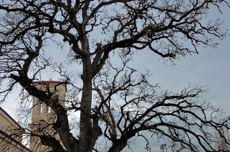 Church under moody sky obscured by oak tree branches silhouette.の写真素材