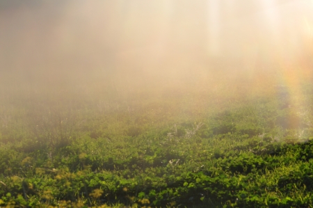 Sunlight on grass abstract blur. Misty nature landscape.の写真素材