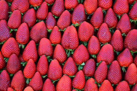Pile of strawberries fresh fruit background texture.の写真素材