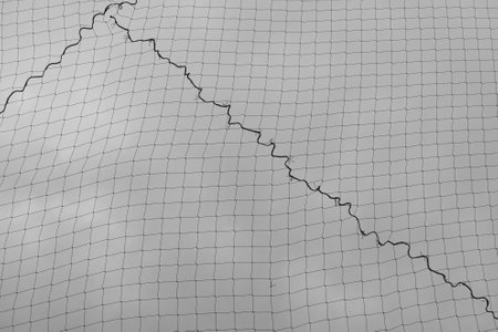 Safety netting square mesh net and rope stitch abstract background. Black and white.