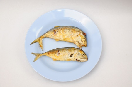 mackerel fish on dish