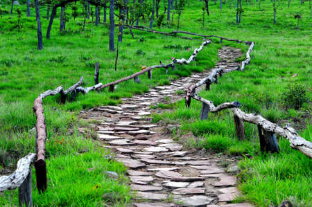 stone footpathの写真素材