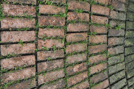 block patternの写真素材