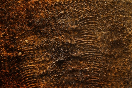 brown color soil backgroundの写真素材