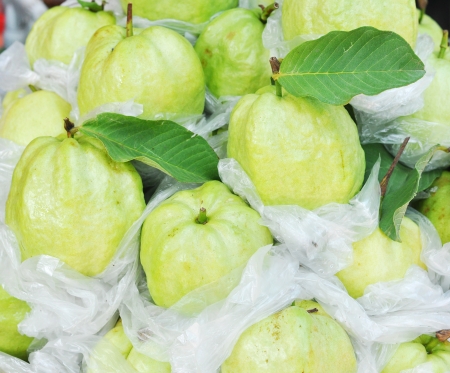 fresh guavas の写真素材