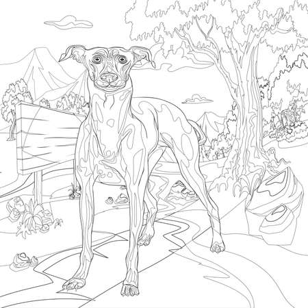 dog coloring book
Adult coloring page, book a cute isolated dog, image for relaxing. Zen art style.dog coloring books for adults,の写真素材