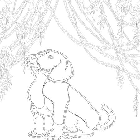 dog coloring book
Adult coloring page, book a cute isolated dog, image for relaxing. Zen art style.dog coloring books for adults,の写真素材