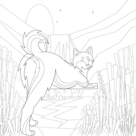 dog coloring book
Adult coloring page, book a cute isolated dog, image for relaxing. Zen art style.dog coloring books for adults,の写真素材