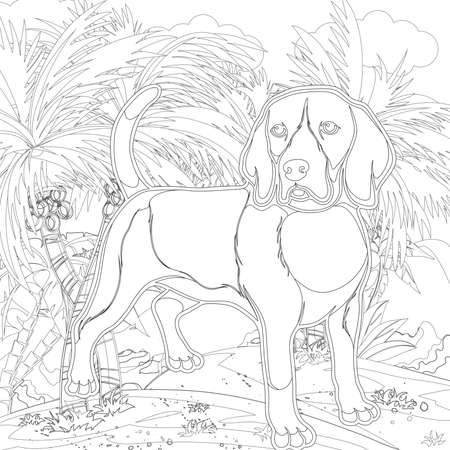 dog coloring book
Adult coloring page, book a cute isolated dog, image for relaxing. Zen art style.dog coloring books for adults,の写真素材