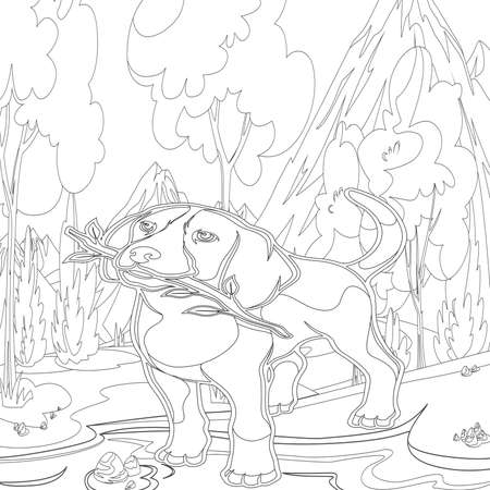 dog coloring book
Adult coloring page, book a cute isolated dog, image for relaxing. Zen art style.dog coloring books for adults,の写真素材