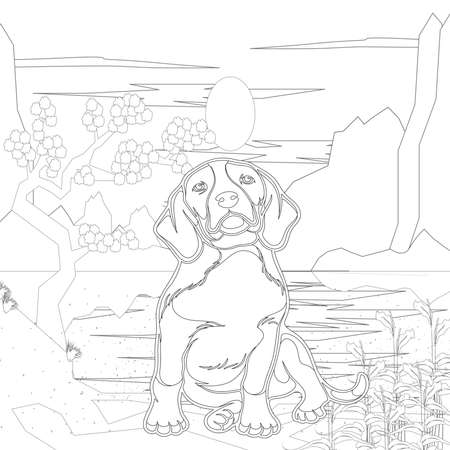 dog coloring book
Adult coloring page, book a cute isolated dog, image for relaxing. Zen art style.dog coloring books for adults,の写真素材