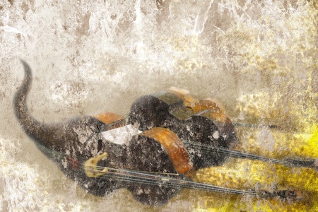 abstract grunge background old bass on the floorの写真素材