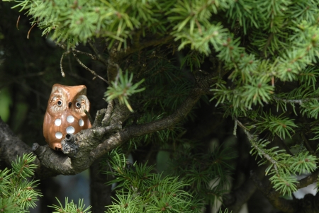 ceramic owl on the branch of a fir tree with copyspaceの写真素材