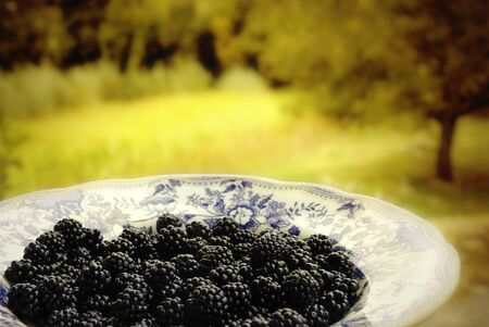 blackberries on a plate country setting backgroundの写真素材