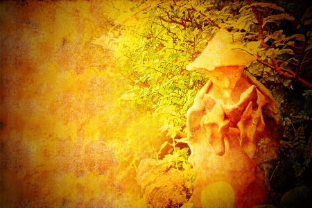 zen background, old Chinese sage reading under a tree, space for message on parchment paperの写真素材