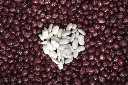red bean with heart made with white beans